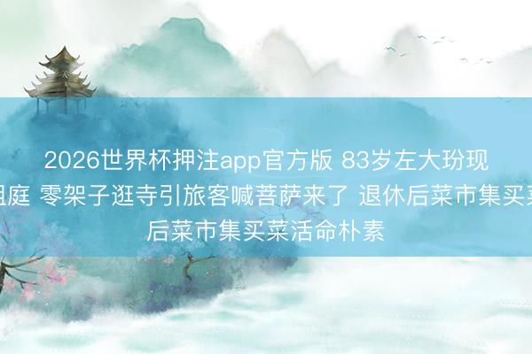 2026世界杯押注app官方版 83岁左大玢现身不雅音祖庭 零架子逛寺引旅客喊菩萨来了 退休后菜市集买菜活命朴素
