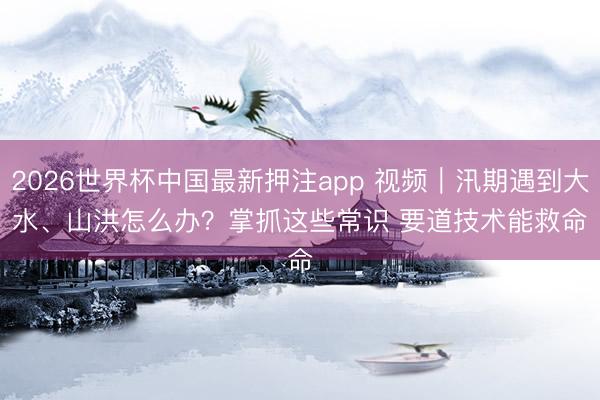 2026世界杯中国最新押注app 视频|汛期遇到大水、山洪怎么办?掌抓这些常识 要道技术能救命