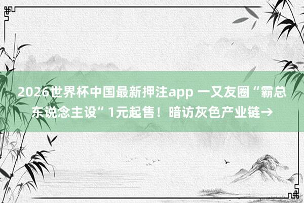 2026世界杯中国最新押注app 一又友圈“霸总东说念主设”1元起售！暗访灰色产业链→